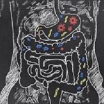 Intestines with Gut Bacteria on Blackboard