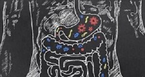 Off-the-shelf probiotics 'are almost useless' Intestines with Gut Bacteria on Blackboard