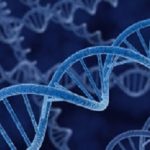 DNA