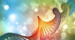 One-off DNA test could predict heart attack risk in childhood 3D render of a medical background with DNA strand