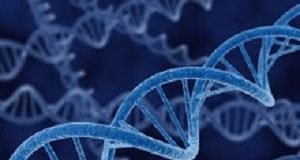 Traces of an ancient virus in our genes may play a role in addiction DNA