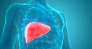World-first SA liver transplant results support a review of ethics policies Liver