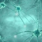Neurology
