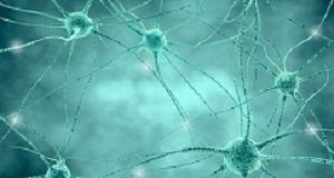 The high lifetime risk of neurological disease Neurology