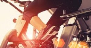 Endurance training may benefit gut microbiota composition Spinning