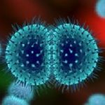 Bacterialmeningitis