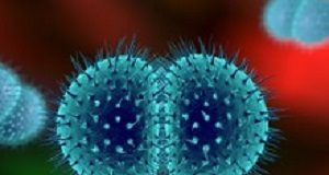 A silent crisis: Hearing outcomes in children with meningitis Bacterialmeningitis