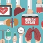 HumanOrgan