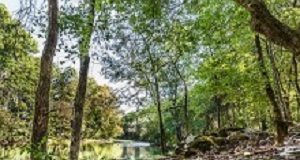 In rehab, ‘Two warring factions’: Abstinence vs medication JourneyPure