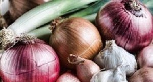 Allium vegetables may substantially reduce colorectal cancer risk Allium