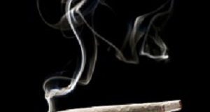 Earlier marijuana smoking linked with higher sperm concentration Cannabis