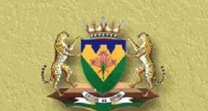 Nurse sues after eight months without pay because of 'system glitch' FreeState