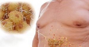 Exercise better than meds to reduce dangerous visceral fat Visceral