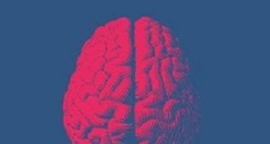 Young people at risk of addiction show differences in key brain region Brain