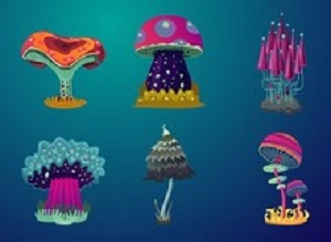 Mushrooms