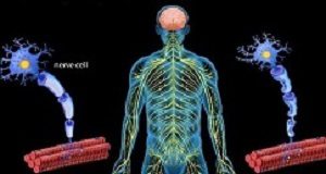 Misdiagnosis of multiple sclerosis found to be common MS