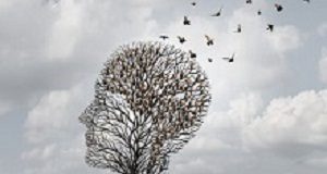 WHO issues its first guidelines on reducing dementia risk Dementia