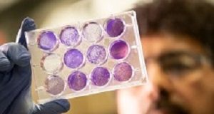 Getting vaccines to inaccessible corners of the world Ashkar