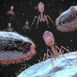 Bacteriophages