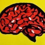 Brain