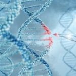 DNA