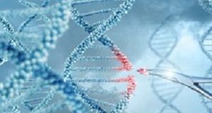 CRISPR technology used to eliminate HIV virus in living mice DNA