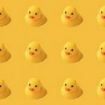 Ducks