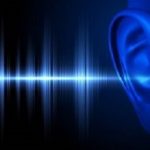 Ear