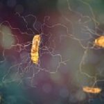 Superbug