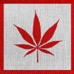 Cannabis