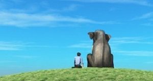 Emotional Support Animals pose legal, ethical and professional challenges Elephant