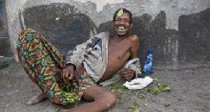 In Ethiopia, a rehab centre takes on khat addiction Khat