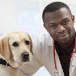 Veterinarian