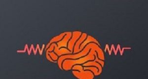 Epilepsy: Seizures not forecastable as expected Epilepsy