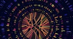 Home genetic testing kits may deliver 'wrongly reassuring' results Genome