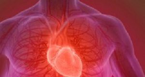 Heart failure and the obesity paradox Heart