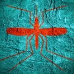 Malaria