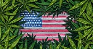 Rising problematic use in US states where marijuana is legal Cannabis