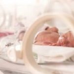 Incubator