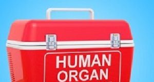 Chinese organ donation statistics may have been falsified OrganTransplant
