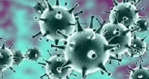 Warning on sustained transmission of 2019-nCoV outbreak – WHO Coronavirus