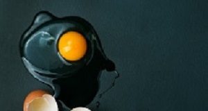 Moderate egg consumption not tied to risk of heart disease Egg