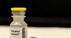WHO's malaria vaccine study a 'serious breach of ethical standards' Vaccine