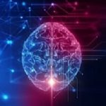 Brain
