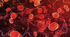Anti-coagulants may improve survival in hospitalised COVID-19 patients Blood