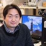 Lee