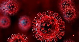 Even mild coronavirus infection leads to antibodies — Pasteur Institute CoronavirusRed