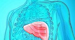 Liver perfusion could save 7 in 10 rejected donor livers