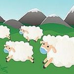 herd immunity of covid-19