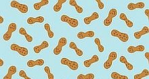 Only 30% of paediatricians fully follow guidelines on peanut allergy prevention